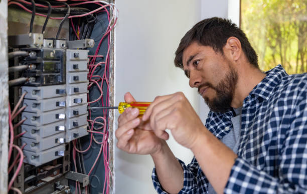 Best Residential Electrician Services  in Stlman Valley, IL